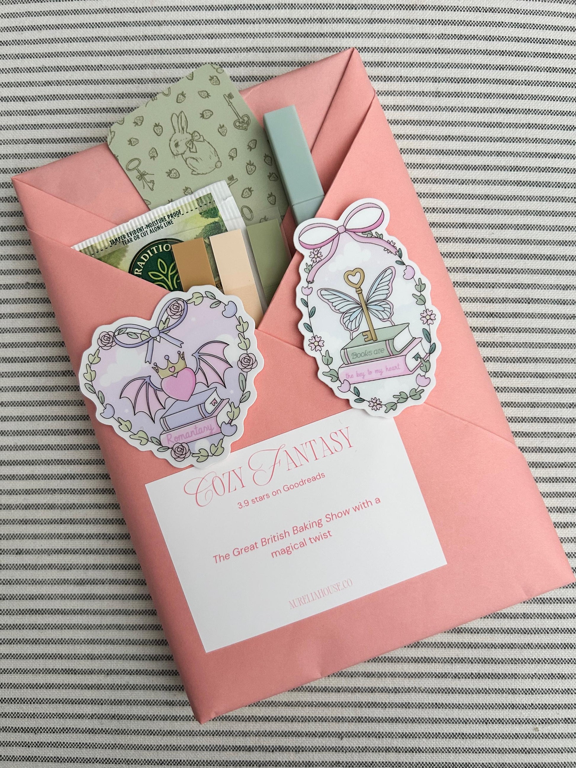 Blind Date With a Book | Bookish Gift for Book Lovers